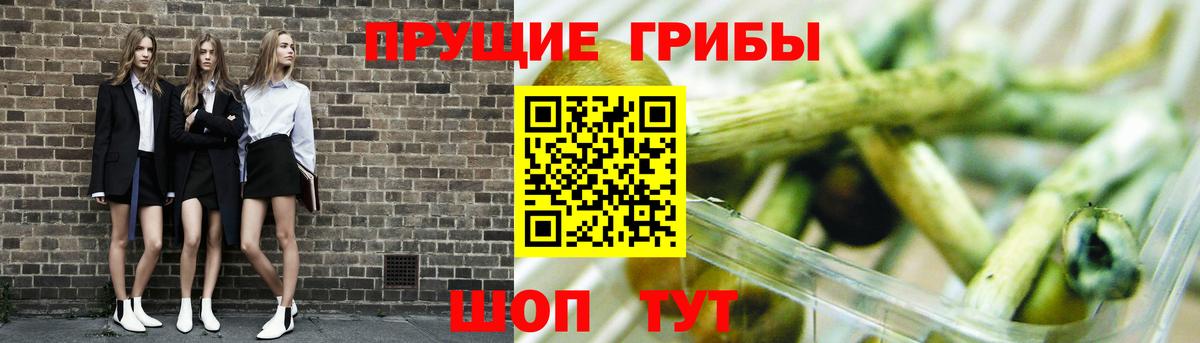Псилоцибиновые грибы Psilocybine cubensis  Галлюциногенные грибы GOLDEN TEACHER  Ногинск  Вход с VPN 